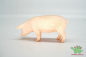 Preview: Schleich Schwein stehend 13288